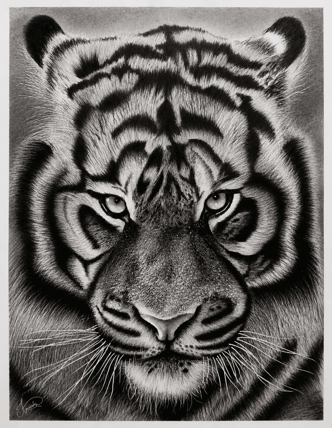 Sovereign Gaze
